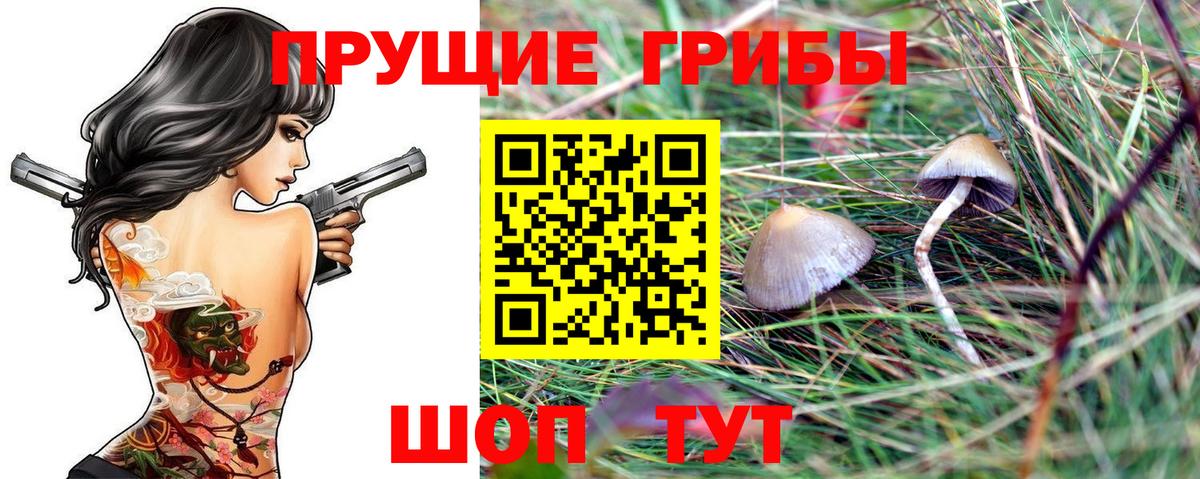 Галлюциногенные грибы ЛСД Феодосия