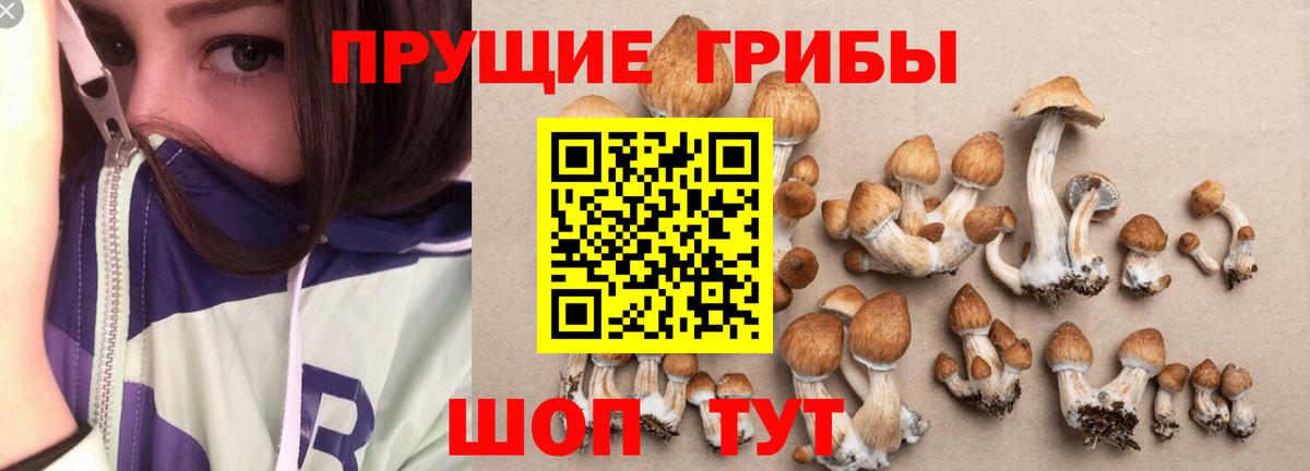 Феодосия  Псилоцибиновые грибы прущие грибы  Вход с VPN 
